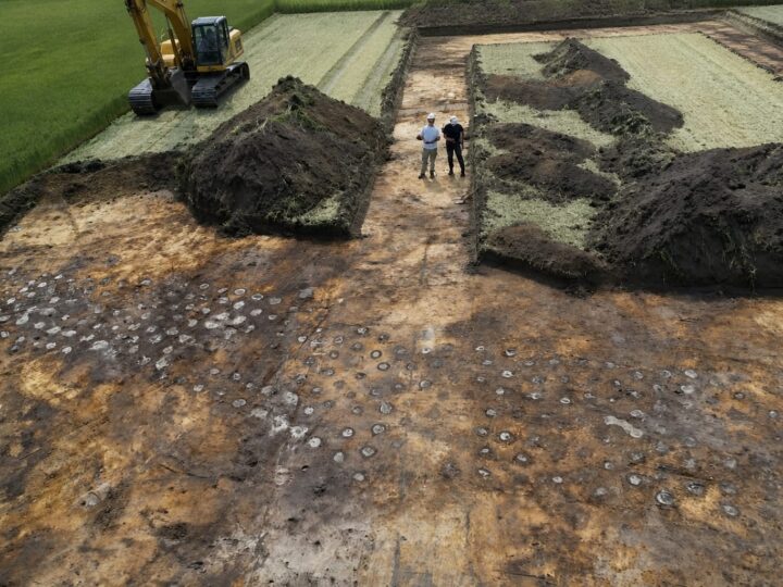 O posibilă palisadă din jurul anului 500 î.Hr. a fost descoperită peste un drum vechi din Danemarca