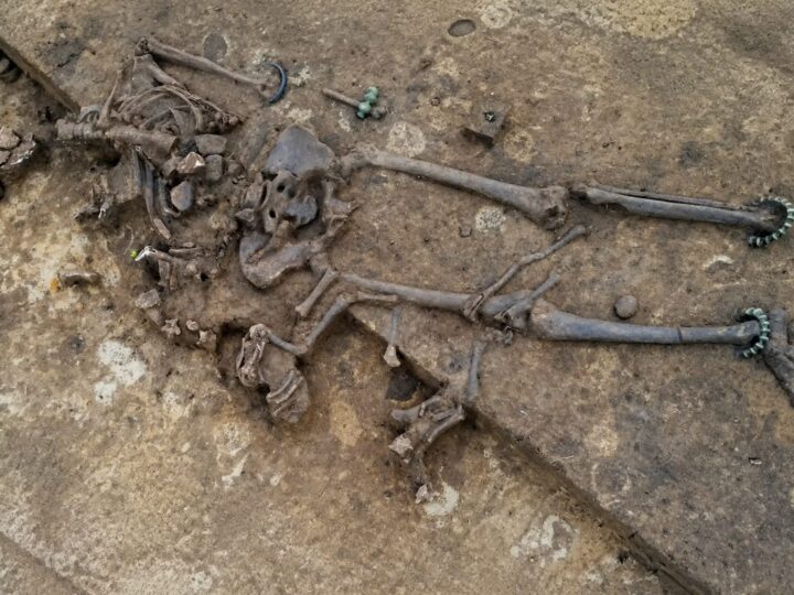 Un mormânt celtic cu un miel și o brățară din noroi fosilizat a fost găsit în Bavaria