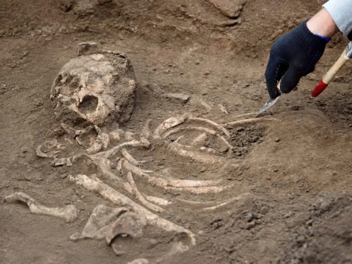 Un neanderthalian din Irak ar fi fost străpuns cu o suliță acum 75.000 de ani